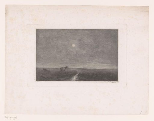 Night landscape with a cow by a stream