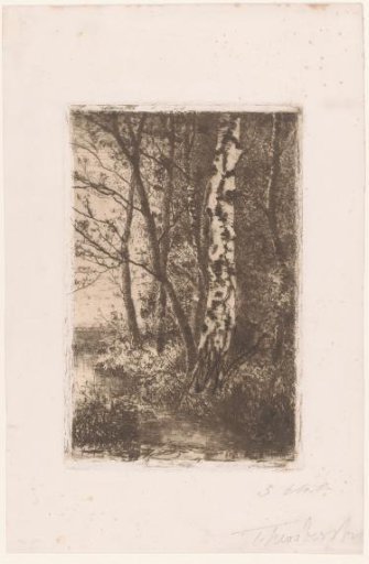 Landscape with a birch near Brasschaat