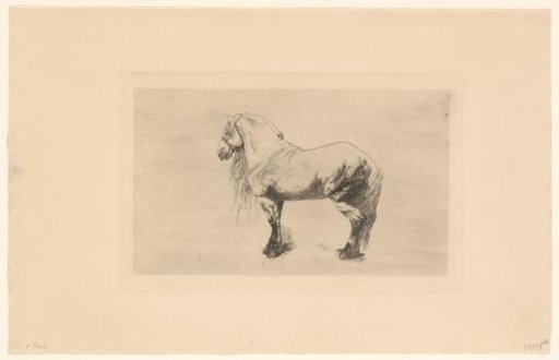 Horse with a Halter