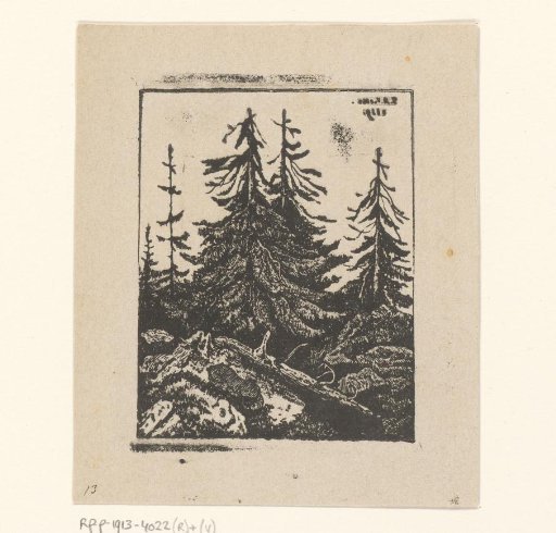 Landscape with coniferous trees