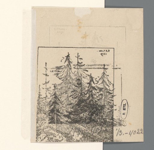 Landscape with coniferous trees