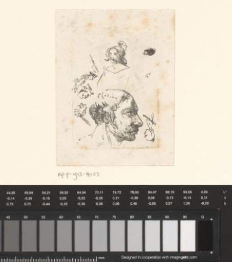 Sheet with studies of heads