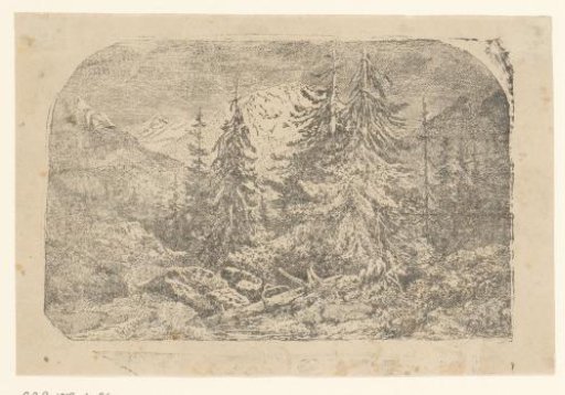 Mountain landscape with coniferous trees in Switzerland