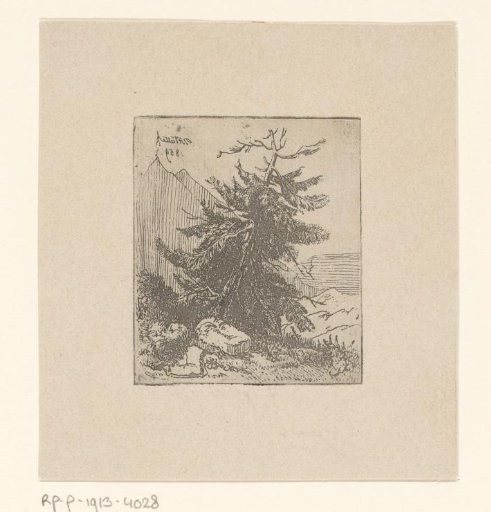 Landscape with a coniferous tree