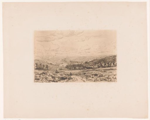 Hilly landscape
