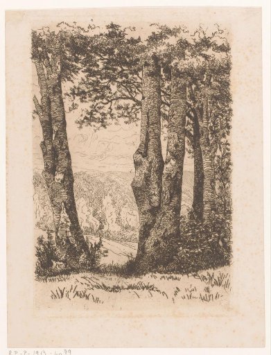 Landscape with a row of trees