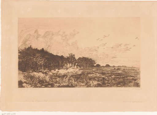 Landscape with Trees along a Marsh