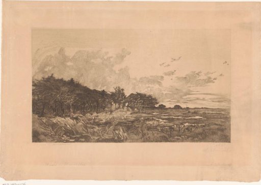 Landscape with Trees along a Marsh