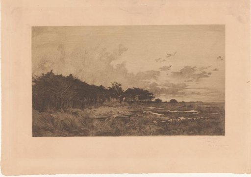 Landscape with Trees along a Marsh
