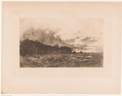 Landscape with Trees along a Marsh