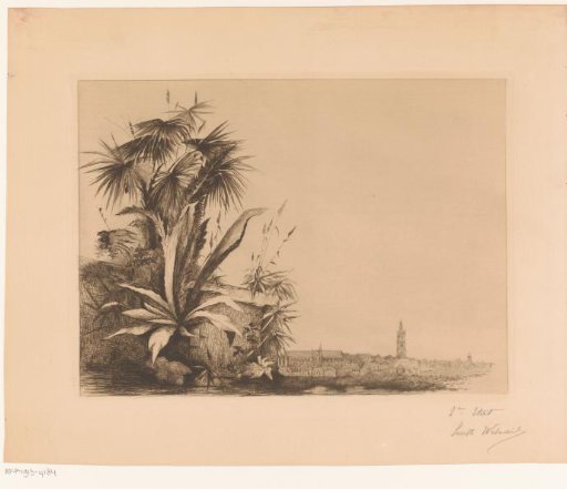 View of Mons along an overgrown wall