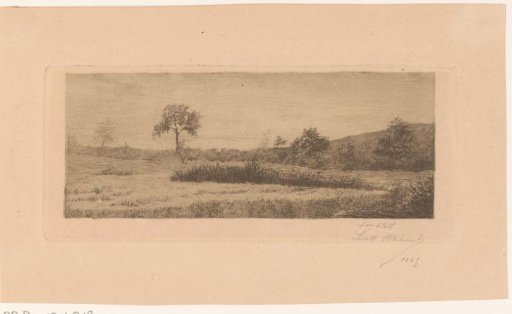 Landscape