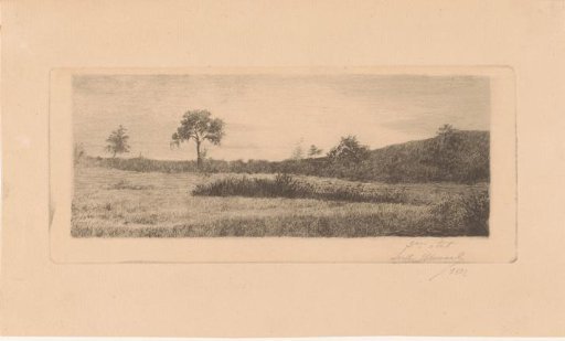 Landscape