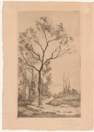 Landscape