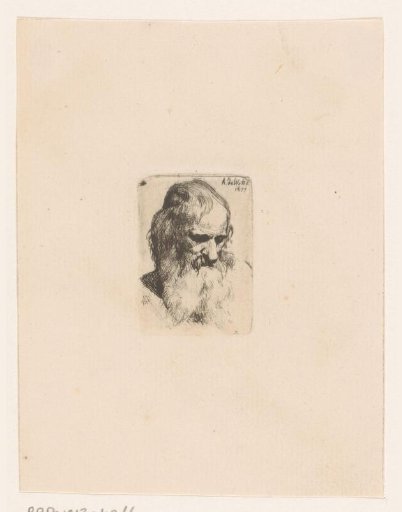 Head of an old man with a beard