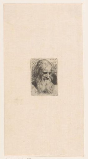 Head of an old man with a beard