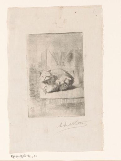 Cat on a chair