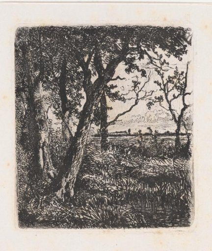 Extensive Landscape with Trees