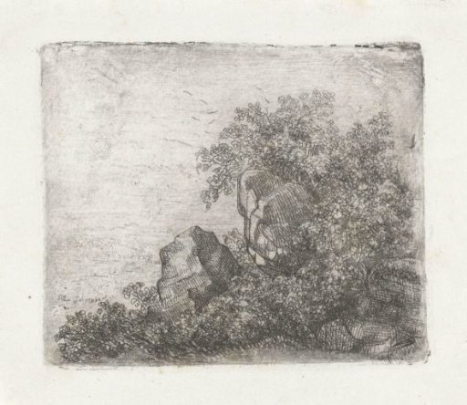 Boulders and shrubs on the Sint Pietersberg