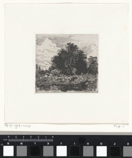 Group of trees