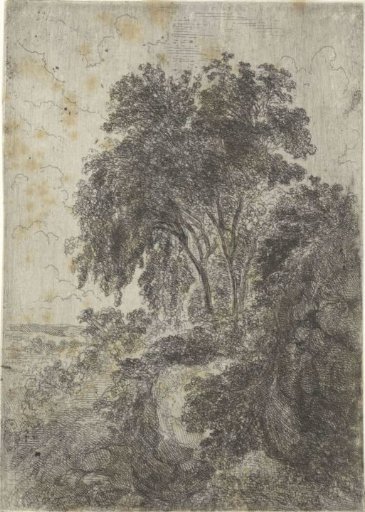 Birches