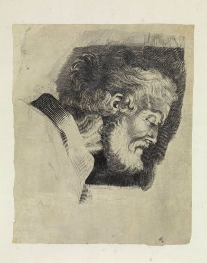 Head of an old man and profile