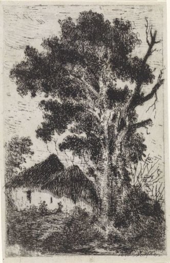 Thatched huts under a large tree