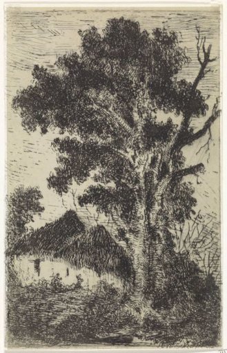 Thatched huts under a large tree