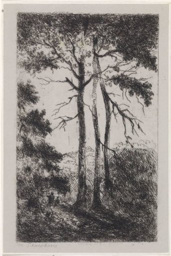 Three trees in a landscape