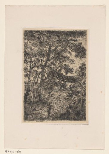 Woman on a forest path