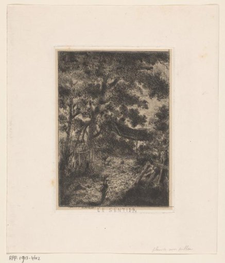 Woman on a forest path
