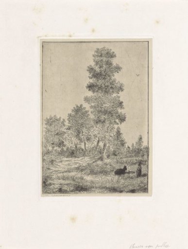 Girl with an animal on a meadow along a forest