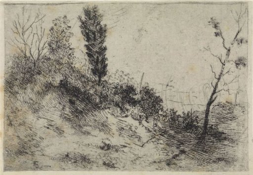 Dune landscape