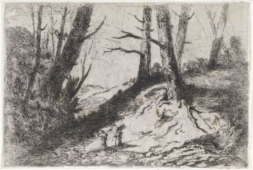 Walkers on a path surrounded by bare trees