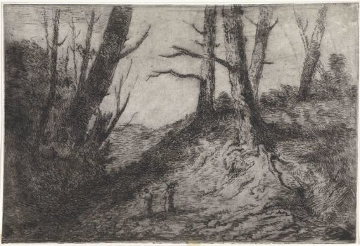 Walkers on a path surrounded by bare trees