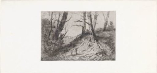 Walkers on a path surrounded by bare trees