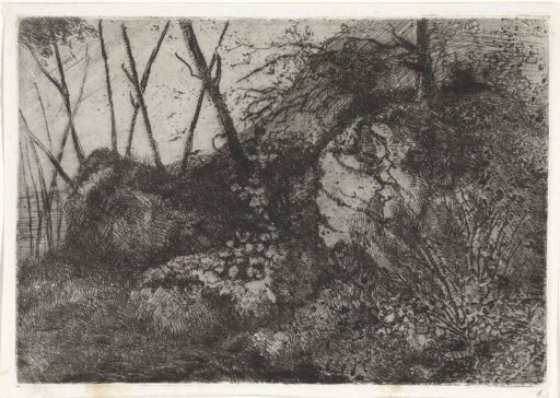 Rocky landscape