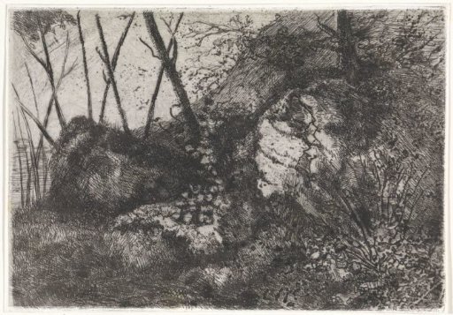 Rocky landscape