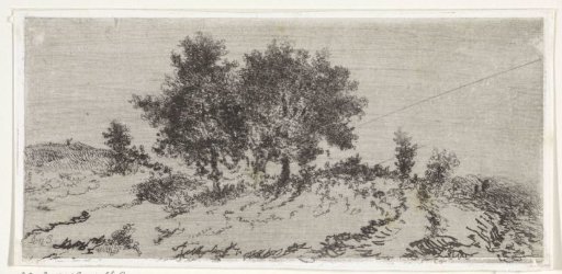 Landscape with a group of trees
