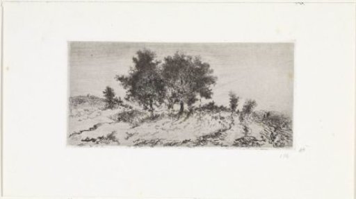 Landscape with a group of trees