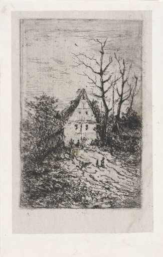House surrounded by bare trees