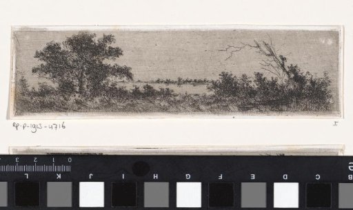 Water-rich landscape