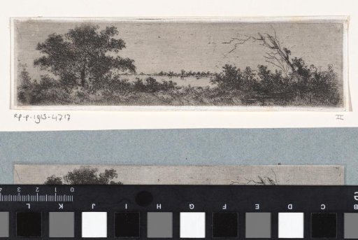 Water-rich landscape