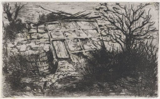 Bare trees near a wall