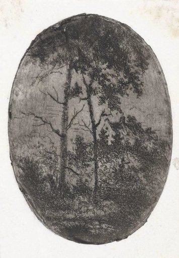 Landscape with two tall trees