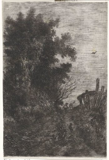 Walker on a path along the forest edge
