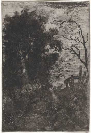 Walker on a path along the forest edge