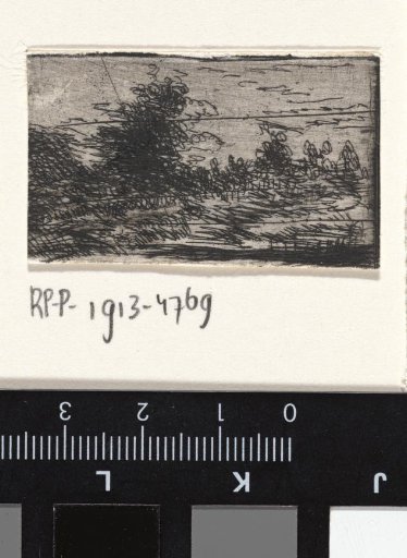 Landscape with one tall tree