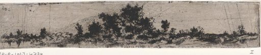 Landscape with a tree in the middle