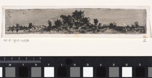 Landscape with a tree in the middle